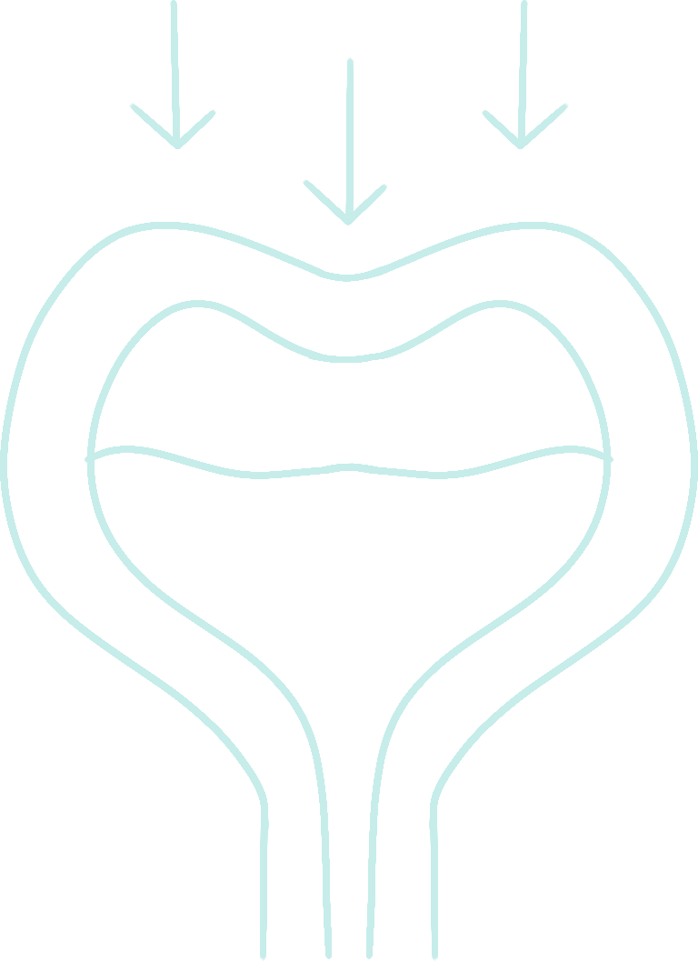 Incontinence Urinaire Nantes - Hopital Privé du Confluent